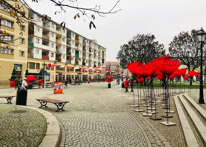 Legnica Apartament 52M2 Delux 1